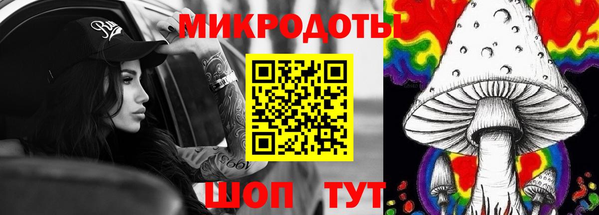 Обь  Галлюциногенные грибы Cubensis  Вход с VPN 